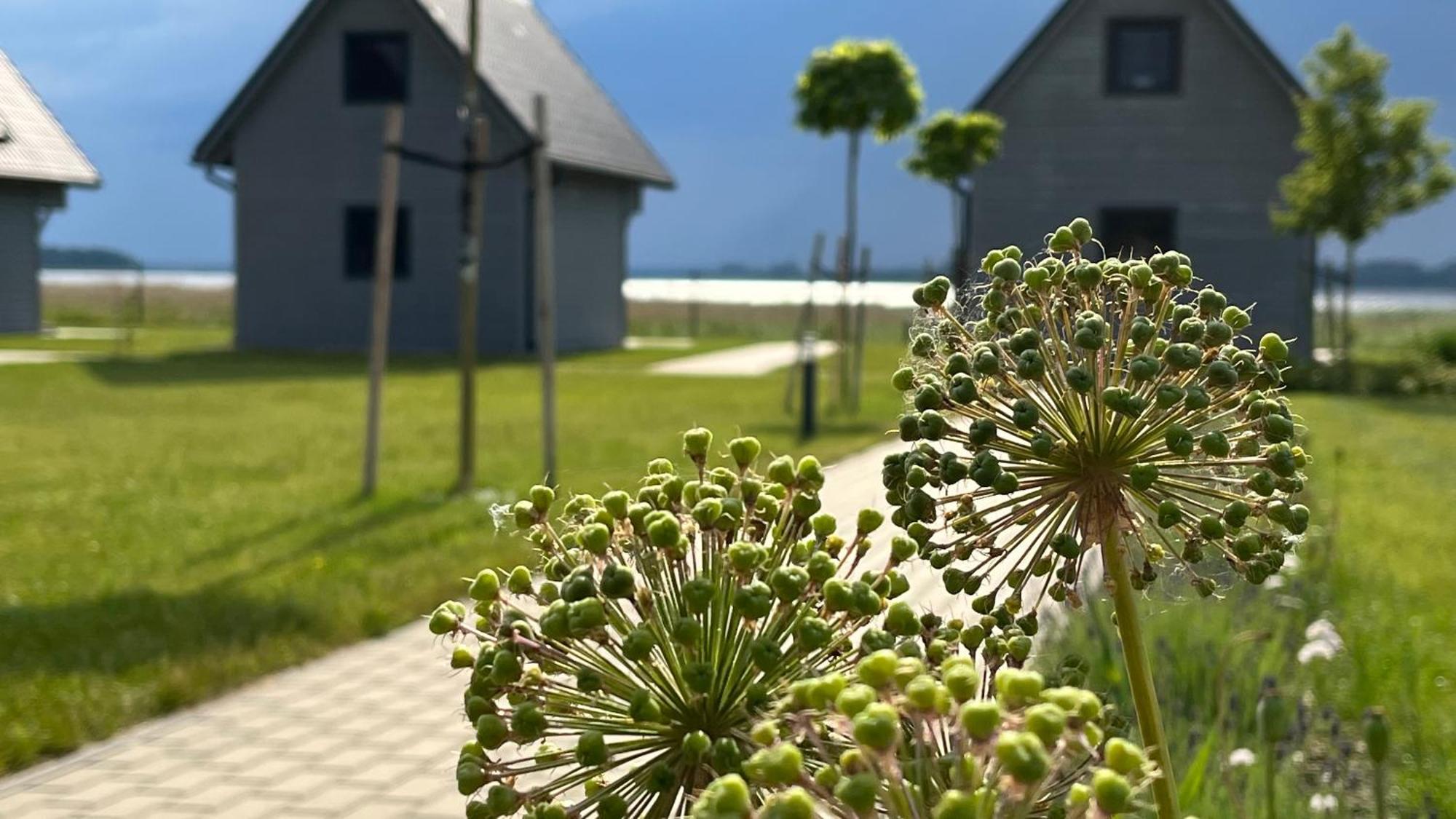 Sloneczna Przystan Holiday home *